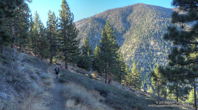 Looking across Vincent Gap to the slopes of Mt. Baden-Powell