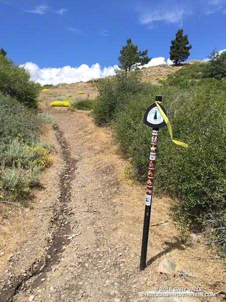 The Pacific Crest Trail marker at Inspiration Point is about 9.7 miles into the Angeles Crest 100 Mile Run from Wrightwood and about 370 miles into the PCT from the Mexican border.