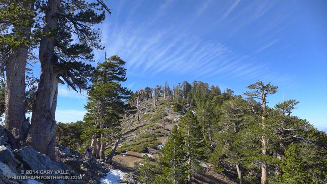 Mt. Burnham from the PCT in the San Gabriel Mountains, near Los Angeles