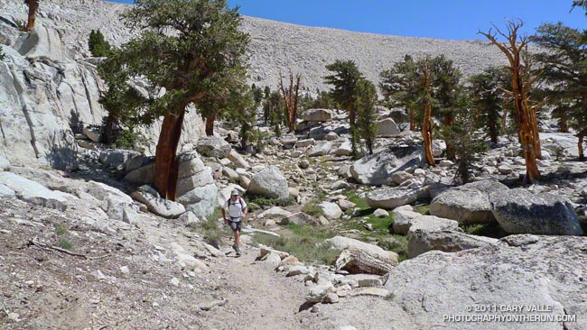 Craig Kinard running on the PCT near Cirque Peak