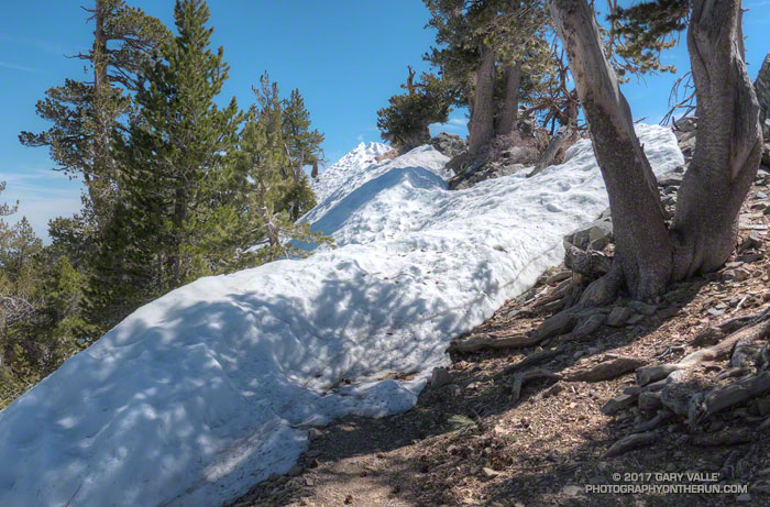 Snow on the PCT east of Mt. Burnham.