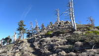 The PCT just west of Mt. Hawkins during the unusually warm and dry Winter of 2013-2014.