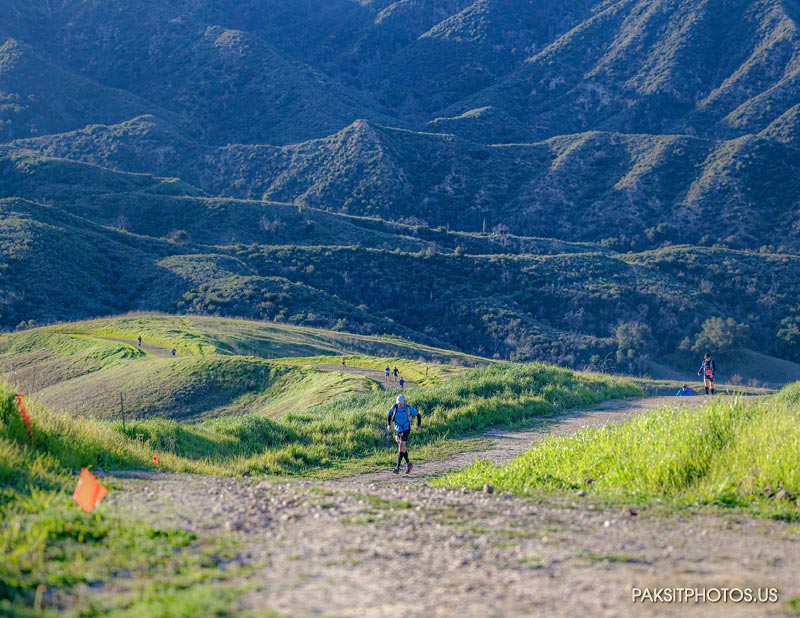 Runners climbing a hill during the 2023 Placerita Canyon Trail Runs. Photo: Paksit Photos.