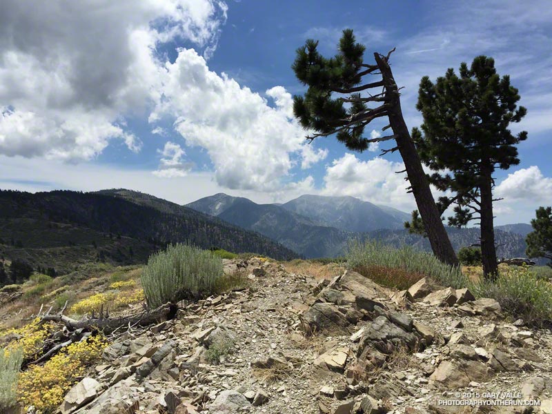 Blue Ridge (left), Pine Mountain (middle) and Mt. Baldy (right) from Lightning Ridge near Inspiration Point in the San Gabriel Mountains. The AC100 course climbs up to Blue Ridge from Wrightwood, joins the PCT, and follows it to Inspiration Point