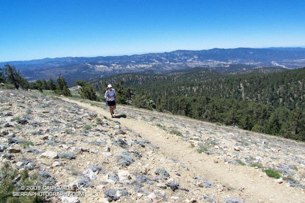 Lynn Longan running up the switchbacks near the Condor Observation Site on Mt. Pinos.