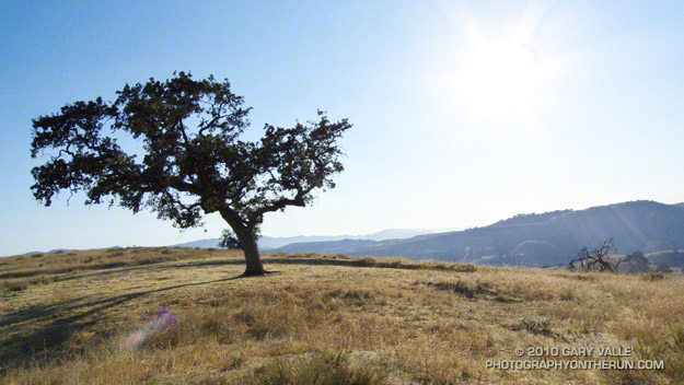 Record heat in Southern California