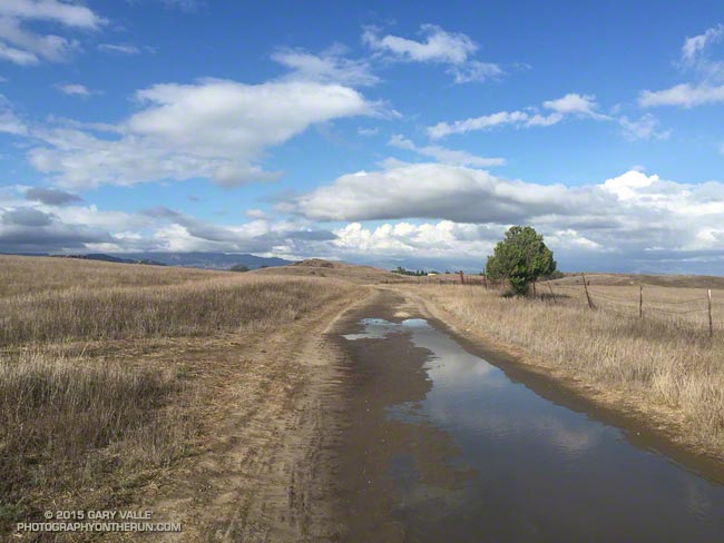 Mud puddles on Lasky Mesa following record rainfall on September 17, 2015.