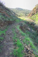 This section of Old Boney segment of the Backbone Trail repaired by the SMMTC withstood the Dec 2022 - Jan 2023 storms.