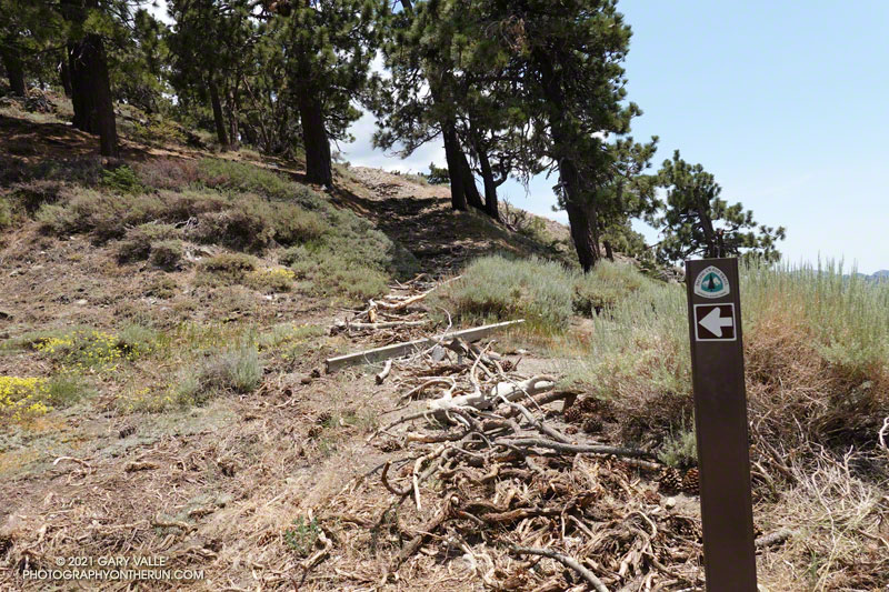 A rerouted section of the PCT about 1.5 miles east of Inspiration Point.  July 17, 2021.
