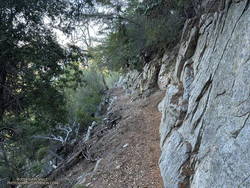 An exhilarating section of the Rim Trail where it is narrow and bounded by a rock wall.