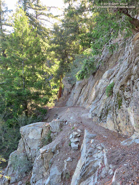 The Rim Trail was not easy to build. Several sections of the trail traverse steep rocky areas and are quite exposed.