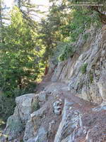 A section of the Rim Trail between Mt. Wilson and Newcomb Pass.