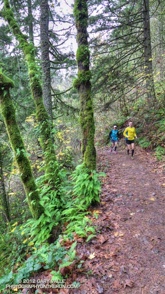 Runners on the Wildwood Trail