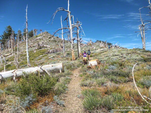 Runners on the PCT west of Mt. Hawkins