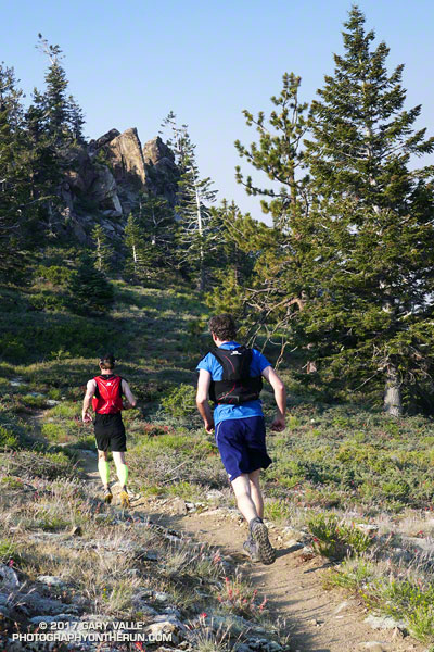 Runners on the Vincent Tumamait Trail below Mt. Pinos.