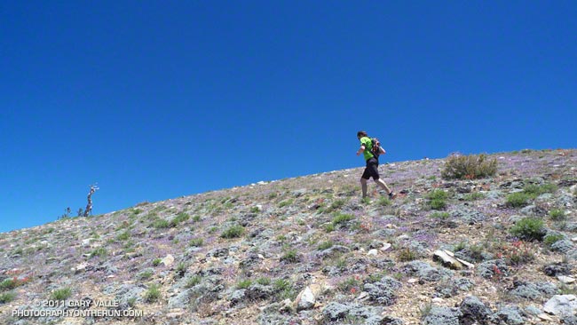 Nearing the summit area of Mt. Pinos