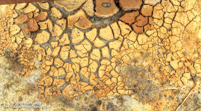 Orange mud cracks and mud curls