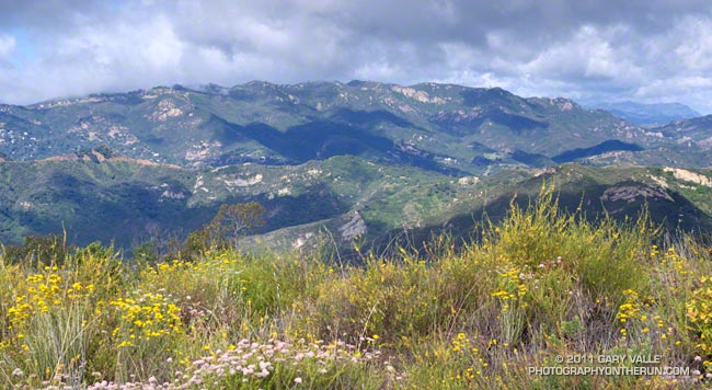 View west across Topanga Canyon to Saddle Peak from viewpoint near the Temescal Ridge Trail.