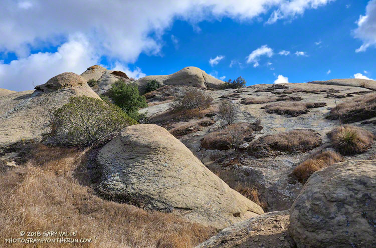 Sage Ranch Micro-Wilderness. Photography by Gary Valle.