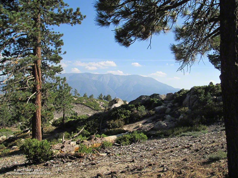 San Bernardino East Peak (10,691') and San Bernardino Peak (10,649') from the Skyline Trail. There's outstanding trail running along that crest on the San Bernardino Peak Divide Trail.