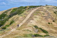 Hill on the San Bruno Mountain Ridge Trail.