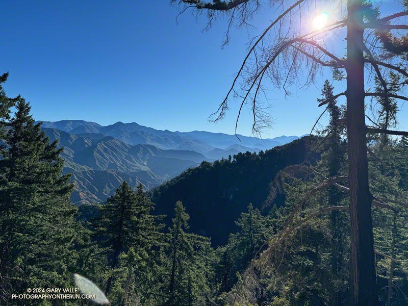 San Gabriels High County from the Rim Trail