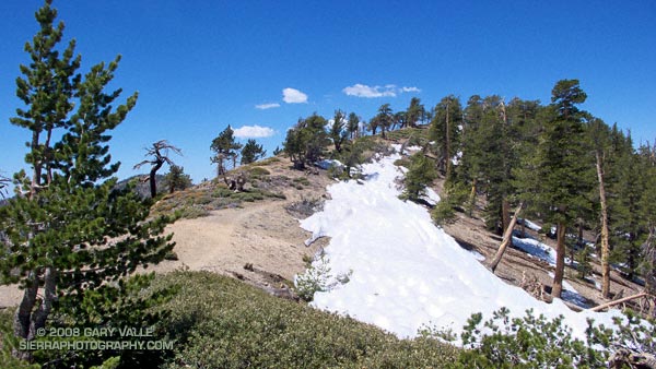 Snow on the Pacific Crest Trail west of Mt. Baden-Powell, May 18, 2008.