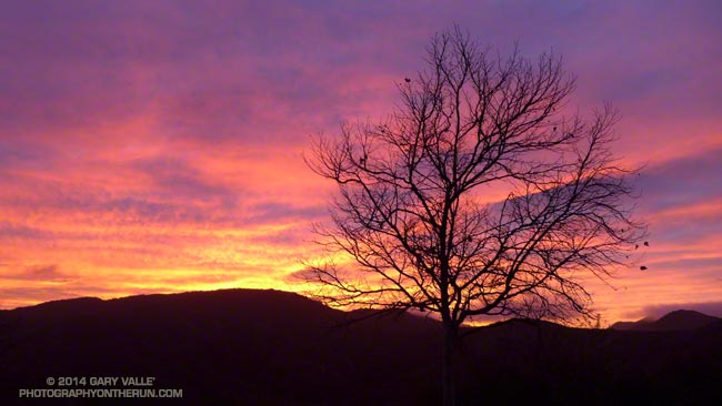 Sunrise at the start of this morning's run in the Santa Monica Mountains.