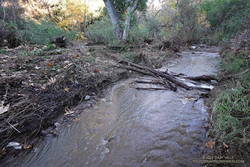 Creek crossing near the Santa Ynez Canyon Trailhead, on Michael Lane.