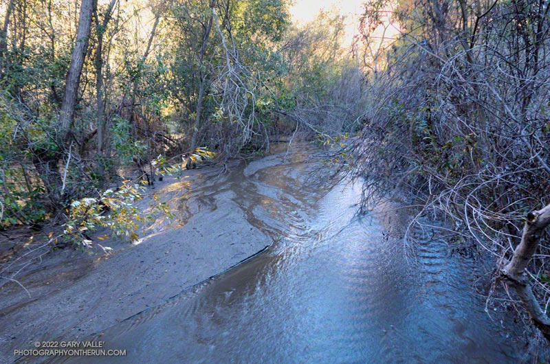 Hmmmm... There's a trail here somewhere. Santa Ynez Canyon Trail, January 2, 2022.