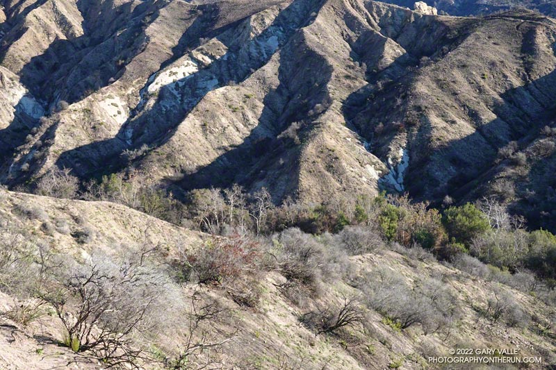 Trees and other vegetation in the canyon bottom of the drainage that was burned may have buffered flash flooding and debris flows. January 2, 2022.