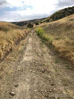 Scraped and graded section of East Las Virgenes Canyon Road at Ahmanson Ranch. May 23,2023.