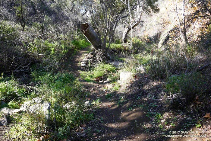 One of approximately 15 crossings of Serrano Creek between Serrano Valley and Sycamore Canyon. The drainpipe was upended in a flash flood on December 12, 2014.