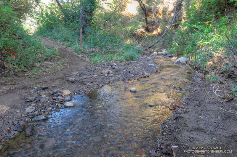 Serrano Canyon's 15 or so creek crossings were back. Unlike Blue Canyon and Upper Sycamore, there was little dmanage to the trail from the runoff from the December 2021 storms. February 20, 2022.