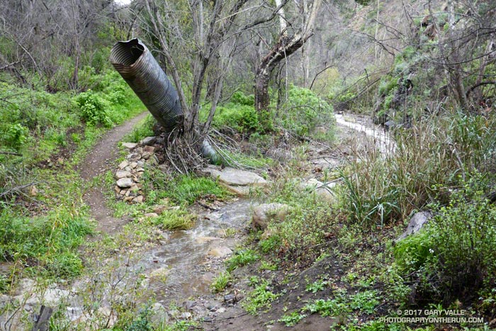 Creek in Serrano Canyon in Pt. Mugu State Park. February 4, 2017. The pipe was upturned by a flash flood on December 12, 2014.