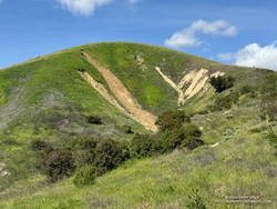 Slides of silty soil in Upper Las Virgenes Canyon Open Space Preserve (thumbnail)