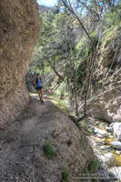 Skye running on a nice section of the Bear Canyon Trail near Arroyo Seco.