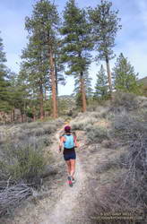 Trail runner on the PCT near Sulphur Springs Road