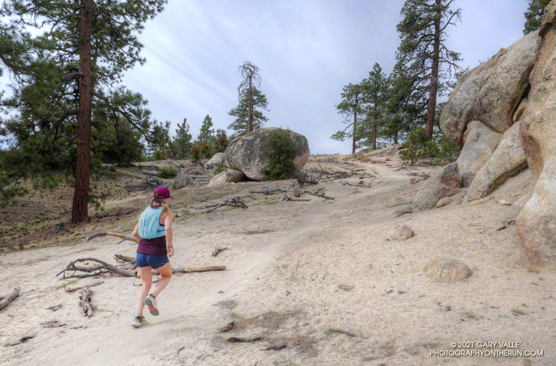 Trail runner on the Mt. Hillyer Trail in the San Gabriel Mountains