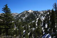 Snow-covered slopes from the Pacific Crest Trail near Little Jimmy Spring. April 2, 2017.