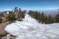 Snow at 9100 feet along the crest just west of Mt. Baden-Powell