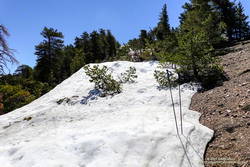 Snow on the west ridge of Mt. Baden-Powell. July 9, 2023.