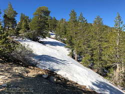 Snow at 8750' near the junction of the PCT and Dawson Saddle Trail in the San Gabriel Mountains, near Los Angeles.