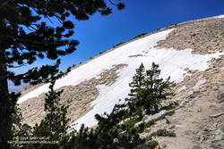 Large patch of snow on the Sky High Trail at an elevation of about 11,100' on July 27, 2019.