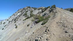 Video snapshot from Mt. Baldy's South Ridge.