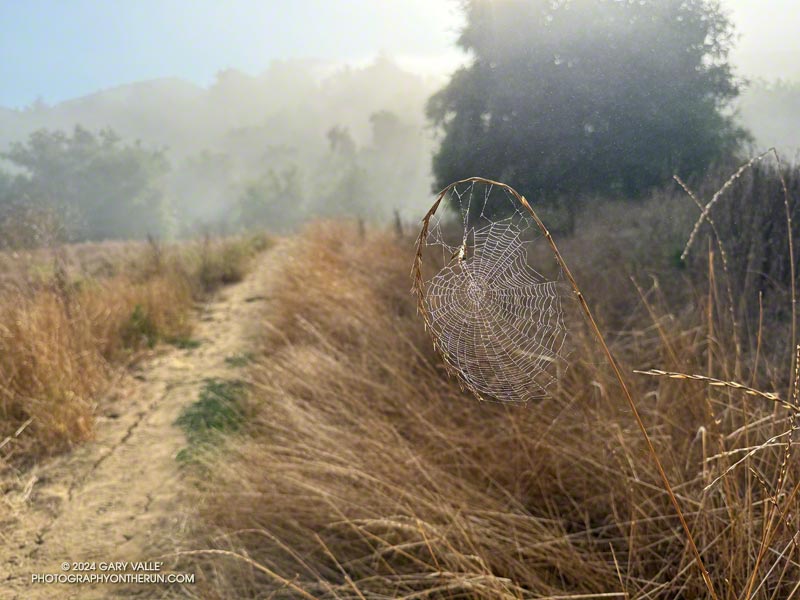 Ingenuity meets Opportunity. Photography by Gary Valle.