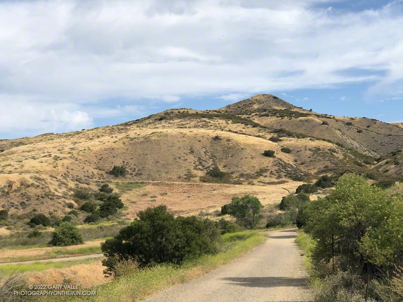 This is Las Llajas Canyon Road/Trail, near Evening Sky Drive. The road curves to the right and continues up the canyon. The Marr Ranch Trail descends/ascends the hills on the left.
