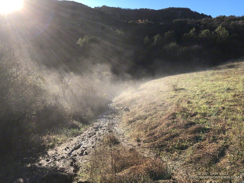 Musch Trail steaming in the early morning sun.