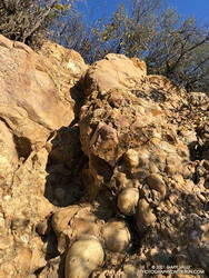 Steep step in Cretaceous-age cobble on the High Point Trail