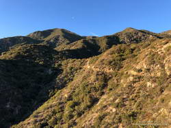 Stone Canyon Trail on Mt. Lukens